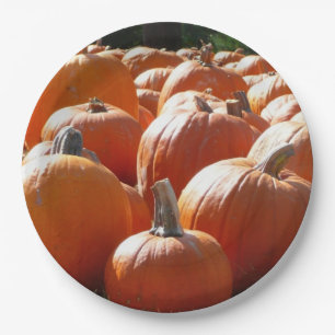 Prato De Papel Foto de Abóboras para Outono, Halloween ou Dia de