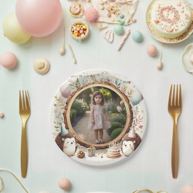 Prato De Papel Foto de Hedgehog para Festas de aniversário para c (Criador carregado)