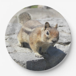 Prato De Papel Foto de Natureza de Esquilo Solto