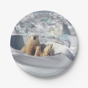 Prato De Papel Foto de Neve Polar Bear Cubs