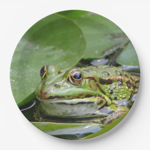 Prato De Papel Foto do Sapo Green Lily Pad