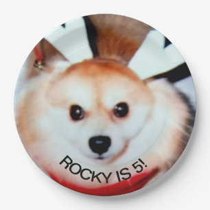 Prato De Papel Foto personalizada da Festa de aniversário de cães