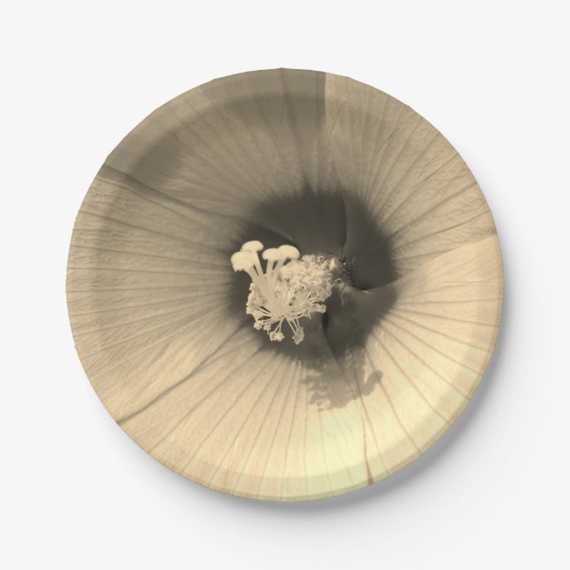 Prato De Papel Foto personalizada de folheto Placas 7 pol (Frente)