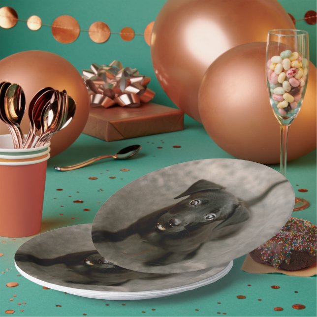 Prato De Papel Foto Pet Personalizada (Múltiplo)