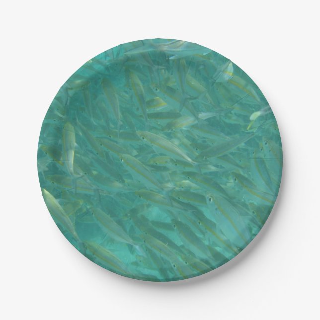 Prato De Papel Foto submarina de peixe (Frente)