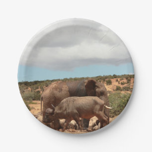 Prato De Papel Fotografia afro-selvagem Elefante Buffalo