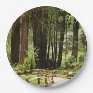 Prato De Papel Fotografia da Natureza da Trilha I de Muir Woods