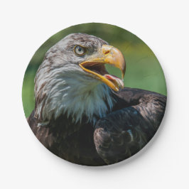 Prato De Papel fotografia de águia