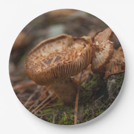 Prato De Papel fotografia de cogumelos