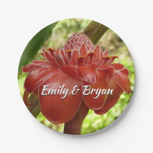 Prato De Papel Fotografia do Flor Tropical de Red Torch Ginger