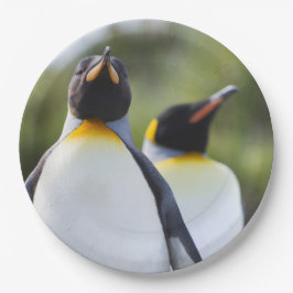 Prato De Papel Fotografia orgulhosa do rei dos pinguins