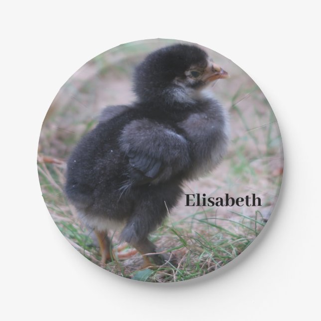 Prato De Papel frango, pintinhos, galinhas, pintinhos, animais, a (Frente)