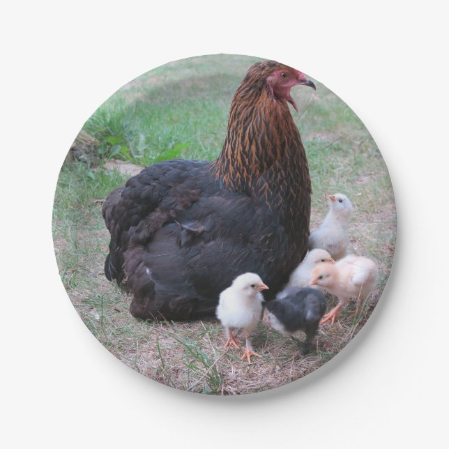 Prato De Papel frango, pintinhos, galinhas, pintinhos, animais, a (Frente)