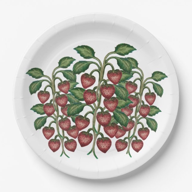 Prato De Papel Frutillas  (Frente)