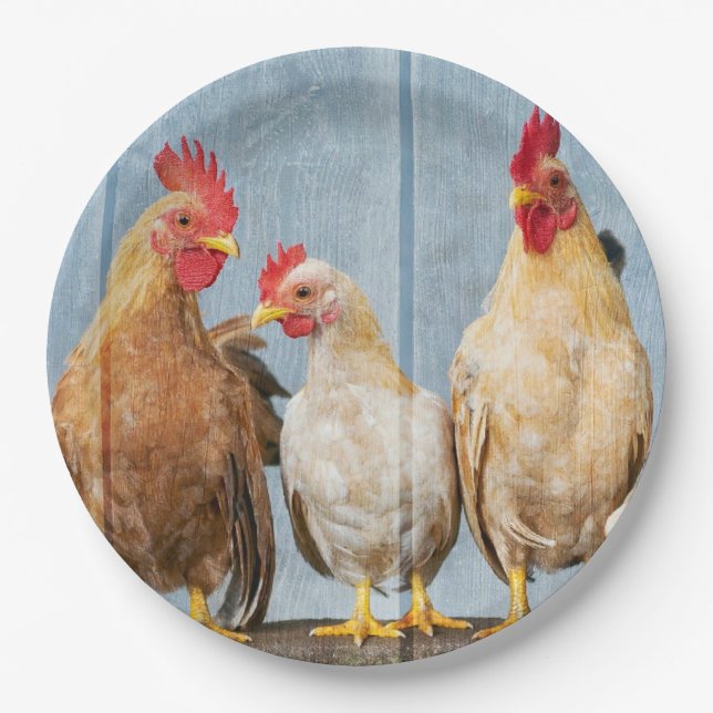 Prato De Papel Galinhas (Frente)