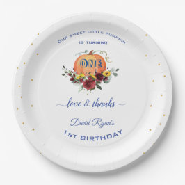 Prato De Papel Garoto Pequeno primeiro aniversario de Ação de Gra