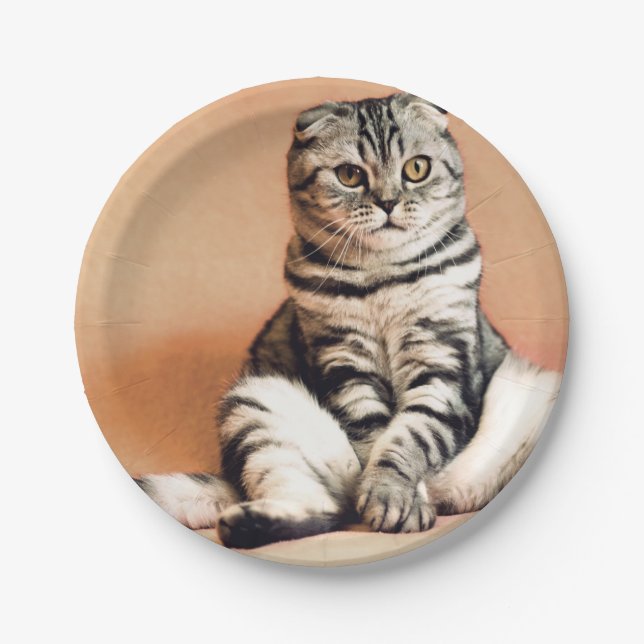 Prato De Papel Gatinho Bonito Desenterrado (Frente)