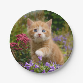 Prato De Papel Gatinho bonito do gengibre em um jardim