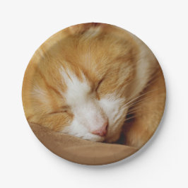 Prato De Papel Gatinho Dormindo