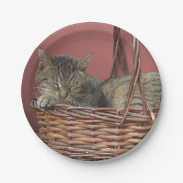 Prato De Papel Gatinho Em Uma Placa De Papel