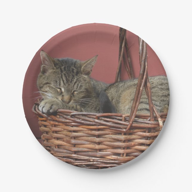 Prato De Papel Gatinho Em Uma Placa De Papel (Frente)