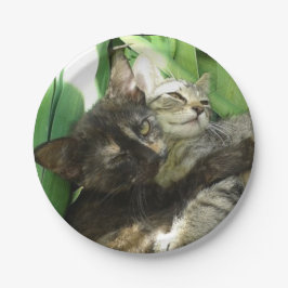 Prato De Papel Gatinhos giros