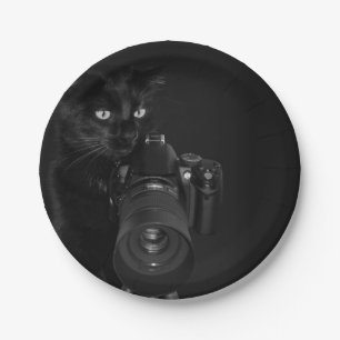 Prato De Papel Gato Negro engraçado com a câmera