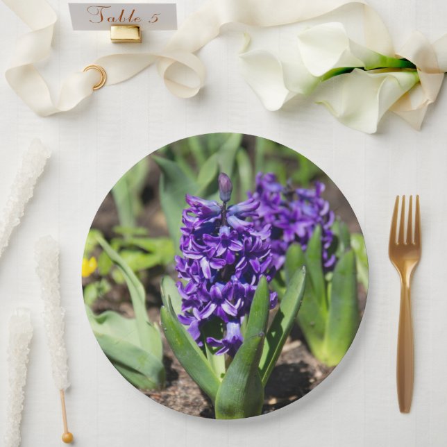 Prato De Papel Geocinto Azul na primavera   (Casamento)