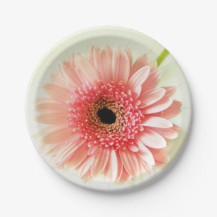 Prato De Papel Gerbera Daisy Pinback Button