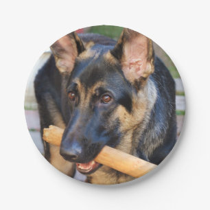 Prato De Papel German shepherd por Shirley Taylor