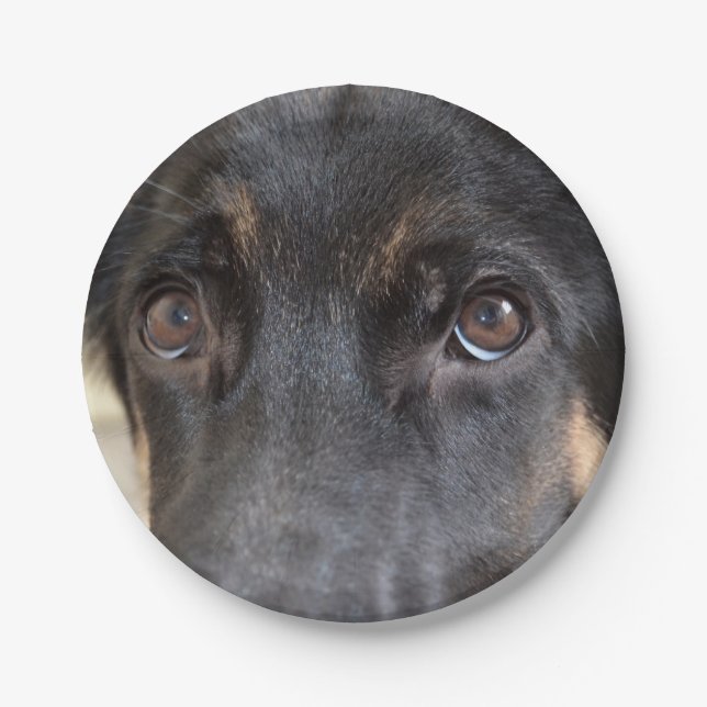 Prato De Papel German shepherd por Shirley Taylor (Frente)