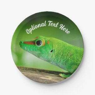 Prato De Papel Giant Green Day Gecko - Phelsuma grandis