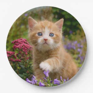 Prato De Papel Ginger Cat Kitten em um jardim, festa feliz