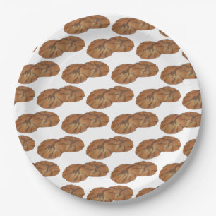 Prato De Papel Ginger Snaps Gingersnap Biscuit Ginger Nut Cookies