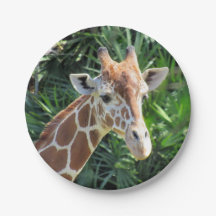 Giraffe Paper Plate