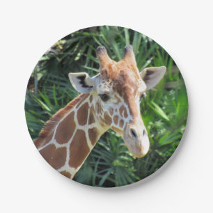 Prato De Papel Giraffe Paper Plate