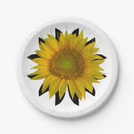 Prato De Papel Girassol