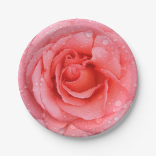 Prato De Papel Gotas de Água Rosa Rosa Rosa Romântica