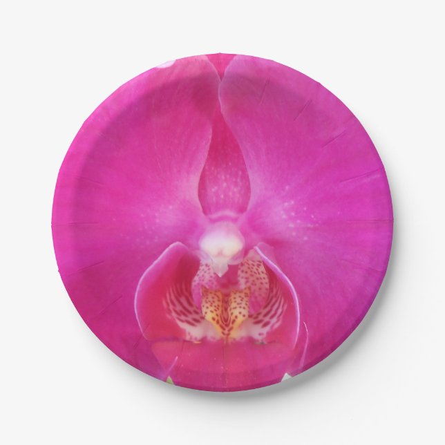 Prato De Papel Guda (Frente)