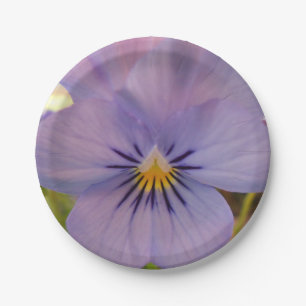 Prato De Papel Haetzlern