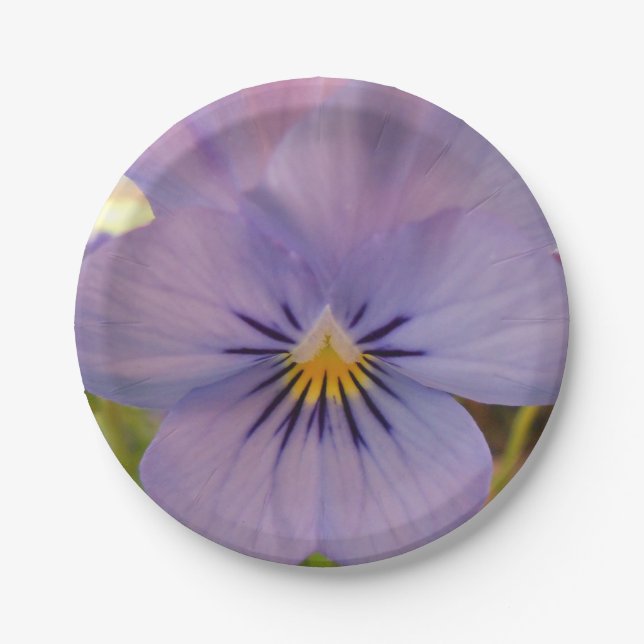 Prato De Papel Haetzlern (Frente)