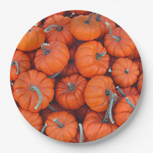Prato De Papel Halloween Mini Pumpkin Fall Autumn Patterno