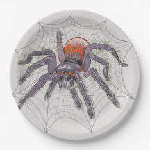 Halloween Spider — Divertimento assustador