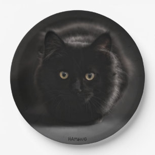 Prato De Papel HAMbWG - Papel Personalizado Placa 9" - Gato Preto