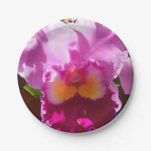 Prato De Papel Harlinde