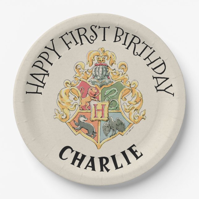 Prato De Papel Harry Potter First Birthday Paper Plate (Frente)