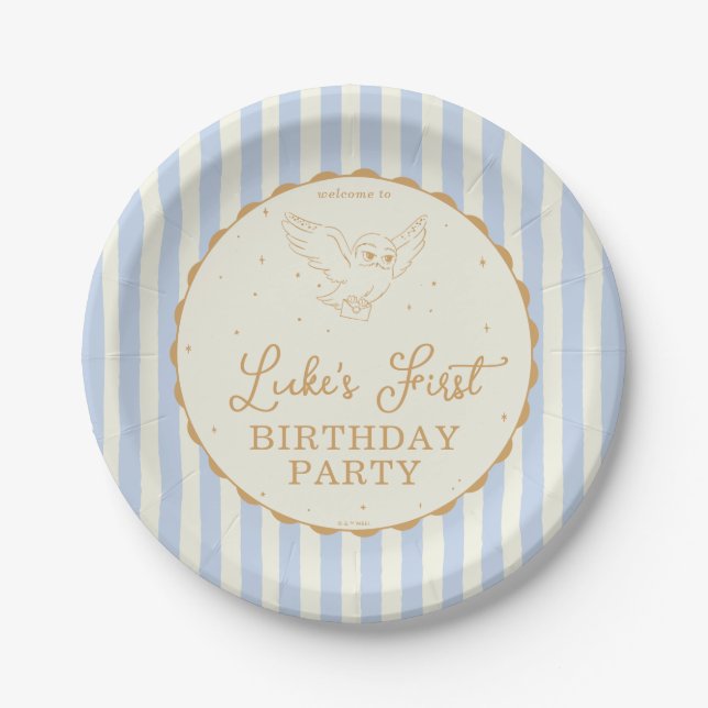 Prato De Papel Harry Potter Hedwig Azul Magia Aniversário (Frente)