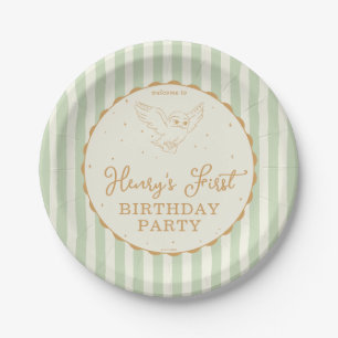 Prato De Papel Harry Potter Hedwig Verde Magia Aniversário