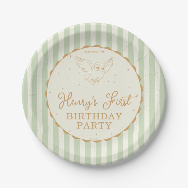 Prato De Papel Harry Potter Hedwig Verde Magia Aniversário (Frente)