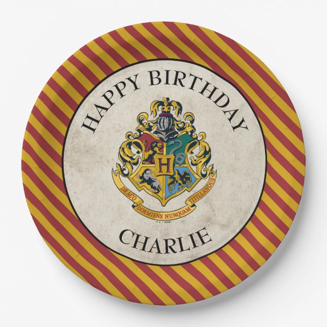 Prato De Papel Harry Potter | Hogwarts Birthday (Frente)